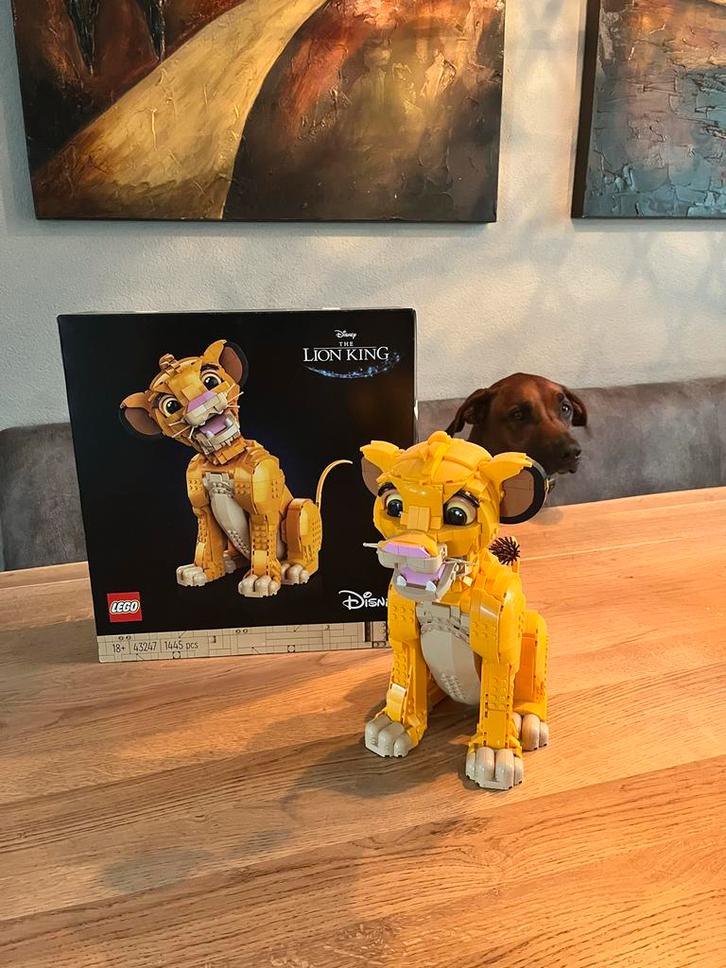 Lego The Lion King - Zo Goed Als Nieuw!, Kinderen en Baby's, Speelgoed | Duplo en Lego, Zo goed als nieuw, Lego, Complete set