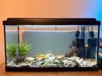 Aquarium, Dieren en Toebehoren, Ophalen, Zo goed als nieuw, Gevuld zoetwateraquarium
