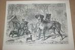 Antieke prent - Honden in hondenpark - Circa 1875 !!, Gebruikt, Ophalen of Verzenden, Dier, Voor 1940