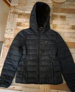 Tommy Jeans dames winterjas, Kleding | Dames, Blauw, Maat 42/44 (L), Ophalen of Verzenden, Zo goed als nieuw