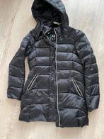 Dikke wintetjas Gaastra Nieuw, Kleding | Dames, Jassen | Winter, Ophalen of Verzenden, Nieuw, Zwart