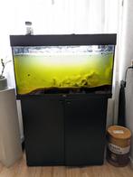 Aquarium met toebehoren. €50, Dieren en Toebehoren, Gebruikt, Verlichting of Verwarming, Ophalen