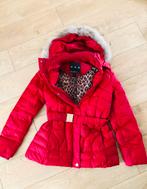 Winterjas in maat 40 van het merk Discovering, nieuw, Kleding | Dames, Maat 38/40 (M), Nieuw, Ophalen of Verzenden, Jack