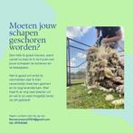 Schapen scheren, Vacatures