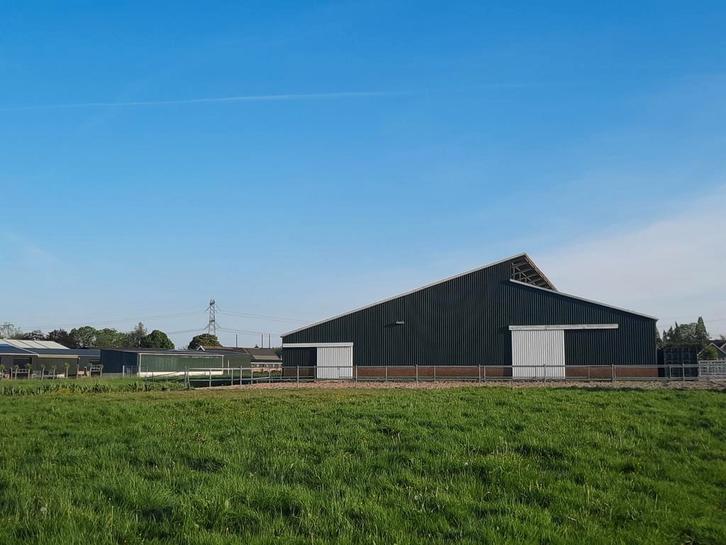 Op onze privé/pensionstal hebben wij enkele binnenboxen vrij, Dieren en Toebehoren, Stalling en Weidegang