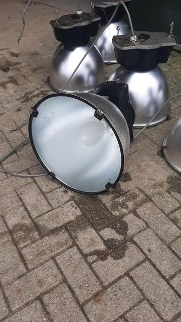 lamp lampen beschikbaar voor biedingen
