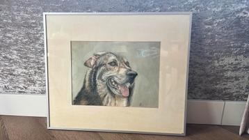 Kopstudie wolf, tekening in kleur beschikbaar voor biedingen