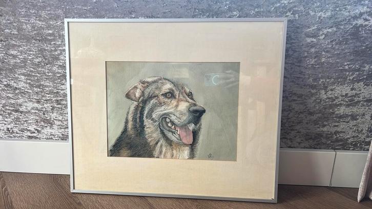 Kopstudie wolf, tekening in kleur, Antiek en Kunst, Kunst | Litho's en Zeefdrukken, Ophalen of Verzenden