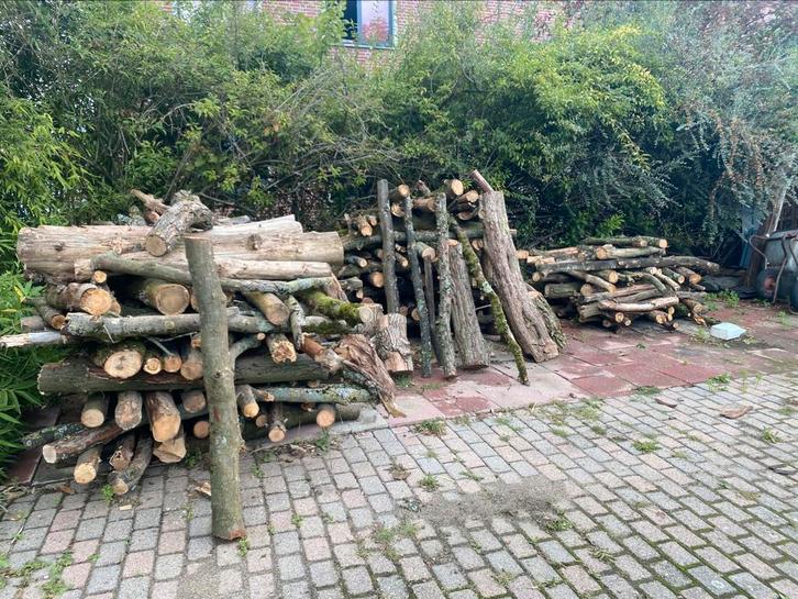 Te kopen: Droog Eiken, Essen en Beuken, Tuin en Terras, Haardhout, Takken, Overige houtsoorten, 6 m³ of meer, Ophalen