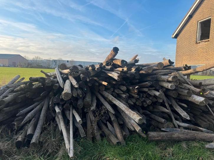 Resthout partij kastanje en robinia palen, Tuin en Terras, Palen, Balken en Planken, Nieuw, Palen, 250 cm of meer, Hardhout, Ophalen