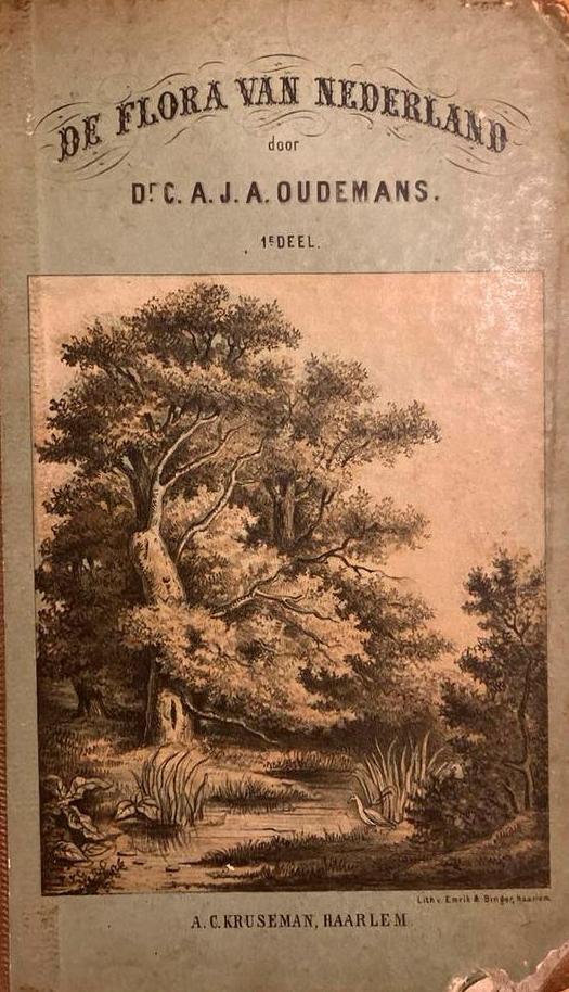 De Flora van Nederland - Oud boek, Boeken, Natuur, Gelezen, Bloemen, Planten en Bomen, Ophalen of Verzenden