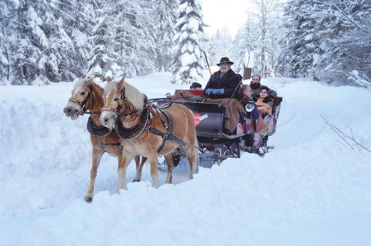DE BESTE LOOPVLAK sneeuwkettingen, Auto diversen, Sneeuwkettingen, Verzenden