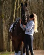 Lichtblauw eskadron setje (dekje + bandages + trui), Dieren en Toebehoren, Paarden en Pony's | Dekens en Dekjes, Dekje, Ophalen of Verzenden