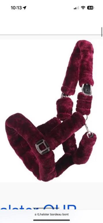 Bordo rood set compleet met halster  beschikbaar voor biedingen