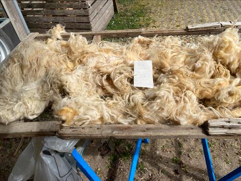 Zak losse Racka lokken, Hobby en Vrije tijd, Cursusmateriaal, Zo goed als nieuw, Ophalen of Verzenden