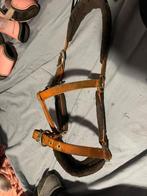 Paarden halster, Ophalen of Verzenden, Overige soorten