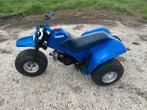 Yamaha Trizinger 60 - Klassieker!, Motoren, Particulier, Overig, 11 kW of minder, 1 cilinder