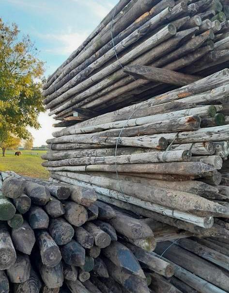 Duurzame gecreosoteerde palen, Tuin en Terras, Palen, Balken en Planken, Gebruikt, Palen, Ophalen of Verzenden