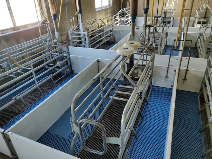 Kraamhokken beweegbare vloer [723], Dieren en Toebehoren, Stalling en Weidegang