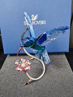 Swarovski Crystal Paradise Kolibri, Verzamelen, Swarovski, Ophalen of Verzenden, Zo goed als nieuw, Figuurtje