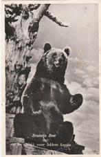 rotterdam- blijdorp, Ophalen of Verzenden, Voor 1920, Zuid-Holland