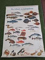 Posters vissen, Ophalen
