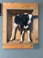 Schilderij van een kalf 90x115, Antiek en Kunst, Kunst | Schilderijen | Klassiek, Ophalen