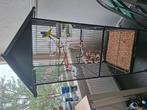2 grasparkietjes met toebehoren, Dieren en Toebehoren, Vogels | Hokken en Kooien, Ophalen, Gebruikt, Metaal, Vogelkooi