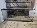 Terrarium 120x50x50 met toebehoren, Dieren en Toebehoren, Ophalen, Zo goed als nieuw