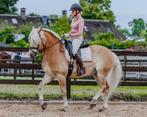 Paardrijles, Zadelmak Maken & Buitenritten., Diensten en Vakmensen, Dieren | Paarden | Verzorging, Oppas en Les, Paardrijles of Ponykampen