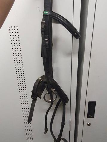 Hoofdstel + bit COB beschikbaar voor biedingen