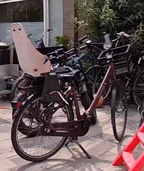 Gestolen!!! Cortina common, Fietsen en Brommers, Fietsen | Dames | Moederfietsen, Zo goed als nieuw, Overige merken, 56 cm of meer