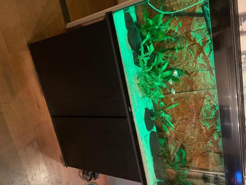Aquarium met meubel, Dieren en Toebehoren, Vissen | Aquaria en Toebehoren, Zo goed als nieuw, Gevuld zoetwateraquarium, Ophalen