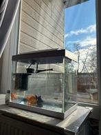 Aquarium met vissen en pomp, Dieren en Toebehoren, Vissen | Aquaria en Toebehoren, Ophalen of Verzenden, Gebruikt