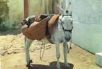Ansichtkaart	Ezel	Spaanse pakezel, Verzamelen, Ansichtkaarten | Dieren, Verzenden, 1980 tot heden, Gelopen, Paard