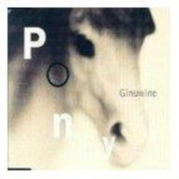 cd-single van Ginuwine - Pony beschikbaar voor biedingen