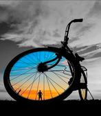 gezocht gratis 28inch opknap fietsen, 53 tot 56 cm, Ophalen, Gebruikt, Overige merken