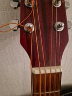 Acoustische gitaar Washburn model D 12 N, Ophalen, Zo goed als nieuw, Western- of Steelstringgitaar