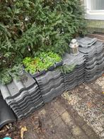 Gratis finkenburger dakpannen, Ophalen, Steen of Klei, Nieuw, 15 m² of meer