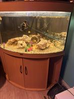 Juwel hoek aquarium inclusief 3 vissen, Dieren en Toebehoren, Ophalen of Verzenden, Zo goed als nieuw, Gevuld zoetwateraquarium