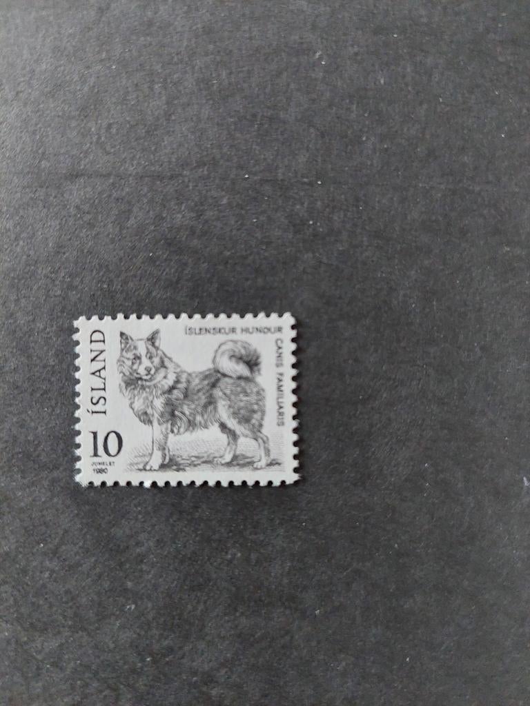 IJslandse Postzegel met Hond - 1980, Ophalen of Verzenden, Gestempeld