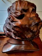 Buste Beethoven  - Gebronzeerd  - 40 cm, Antiek en Kunst, Kunst | Beelden en Houtsnijwerken, Ophalen of Verzenden