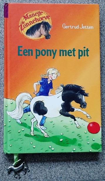 Manege Zonnehoeve: Een pony met pit beschikbaar voor biedingen