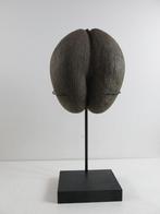 Sea Coconut – Coco de Mer 32x 27x17cm on custom made stand, Verzamelen, Dierenverzamelingen, Ophalen of Verzenden, Gebruikt, Beeldje of Figuurtje