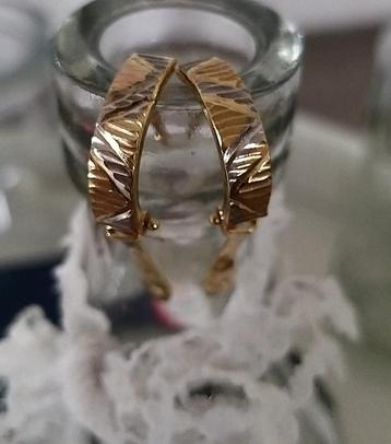 14K Gouden Bicolor Oorbellen beschikbaar voor biedingen