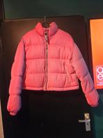 Rose Neon Berschka winterjas maat l, Kleding | Dames, Ophalen of Verzenden, Zo goed als nieuw, Maat 38/40 (M), Jack