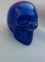 schedel, Ophalen of Verzenden, Gebruikt