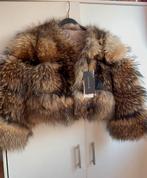 Echte Racoon Furcoat - Maat L, Verzenden, Nieuw, Maat 42/44 (L), Bruin