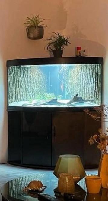 Hoek aquarium  beschikbaar voor biedingen