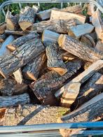 Vers Brandhout, 6 m³ of meer, Ophalen of Verzenden